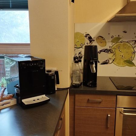 Nichtraucherferienwohnung-Neckarblick Ze-2022-74-Wz-118A Heidelberg Dış mekan fotoğraf