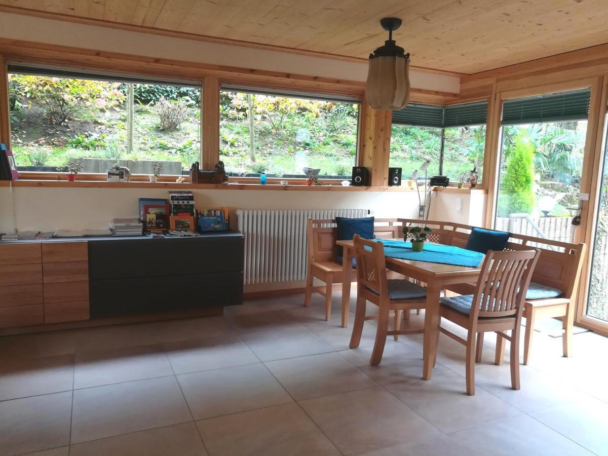 Nichtraucherferienwohnung-Neckarblick Ze-2022-74-Wz-118A Heidelberg Dış mekan fotoğraf
