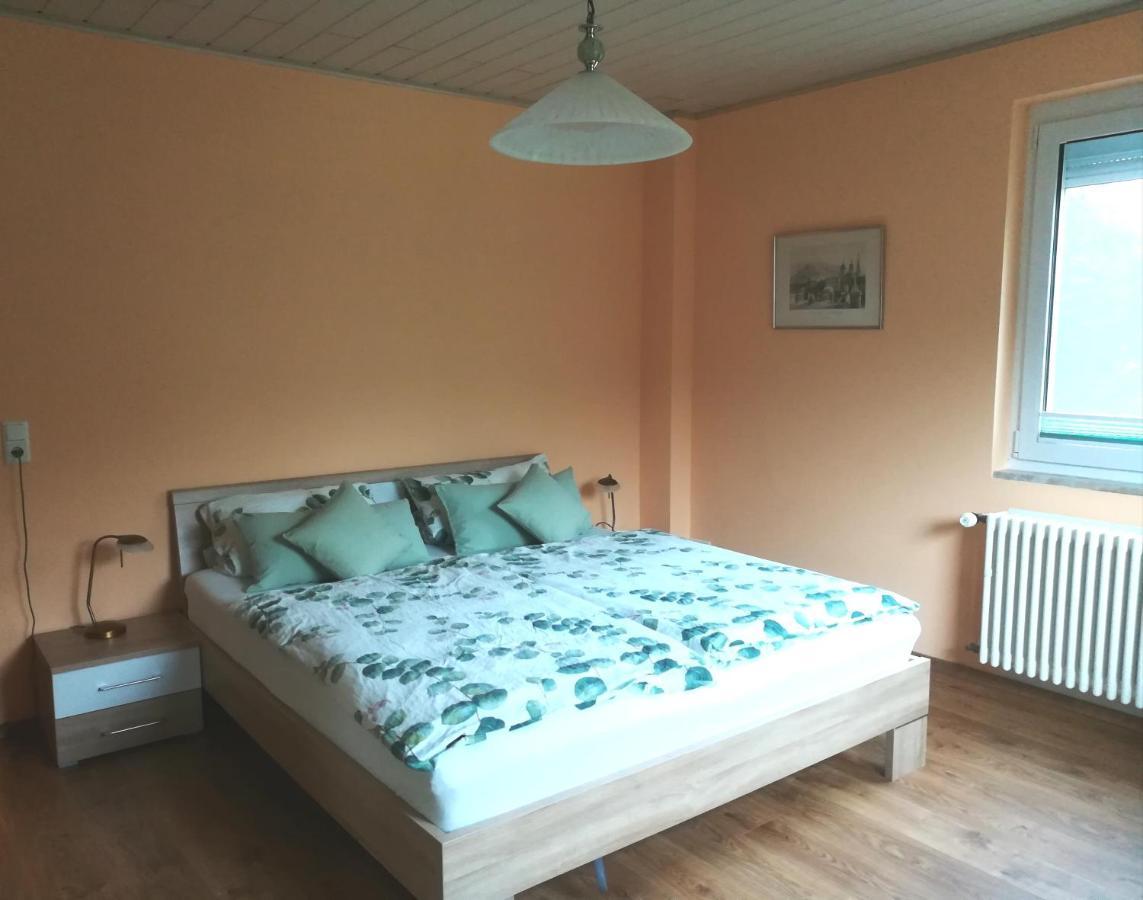 Nichtraucherferienwohnung-Neckarblick Ze-2022-74-Wz-118A Heidelberg Dış mekan fotoğraf