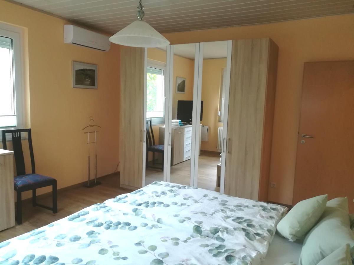 Nichtraucherferienwohnung-Neckarblick Ze-2022-74-Wz-118A Heidelberg Dış mekan fotoğraf