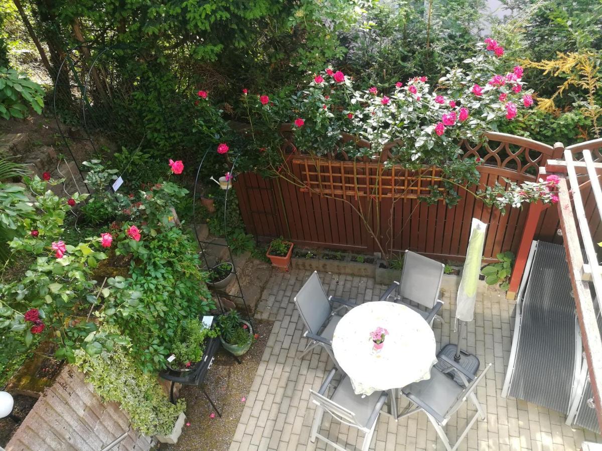 Nichtraucherferienwohnung-Neckarblick Ze-2022-74-Wz-118A Heidelberg Dış mekan fotoğraf