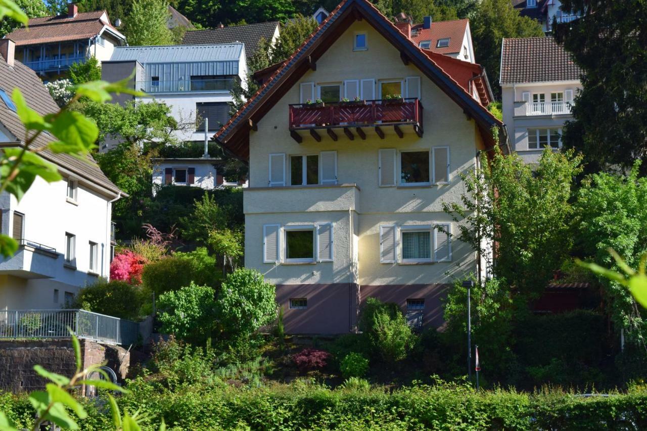 Nichtraucherferienwohnung-Neckarblick Ze-2022-74-Wz-118A Heidelberg Dış mekan fotoğraf