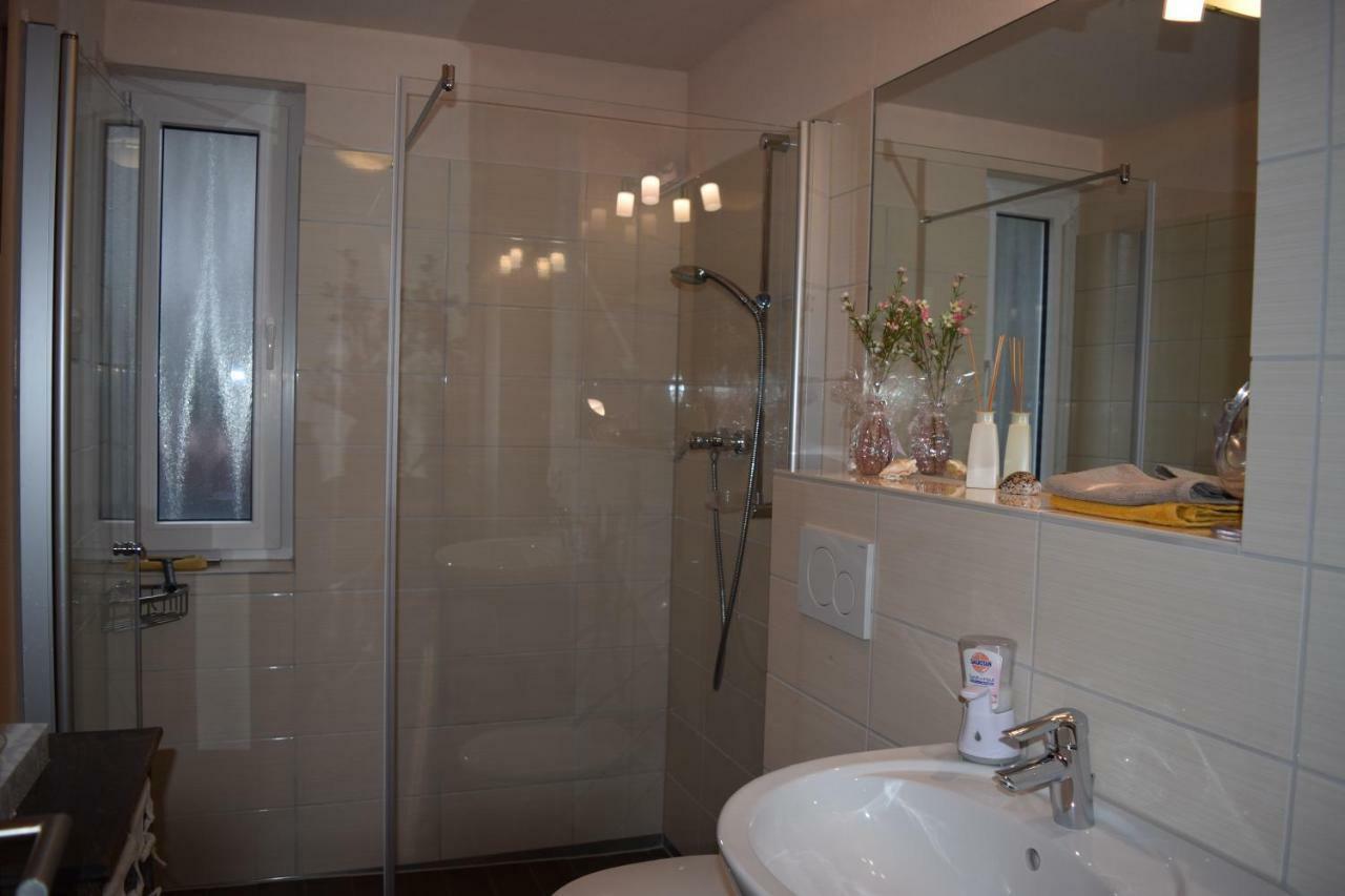 Nichtraucherferienwohnung-Neckarblick Ze-2022-74-Wz-118A Heidelberg Dış mekan fotoğraf
