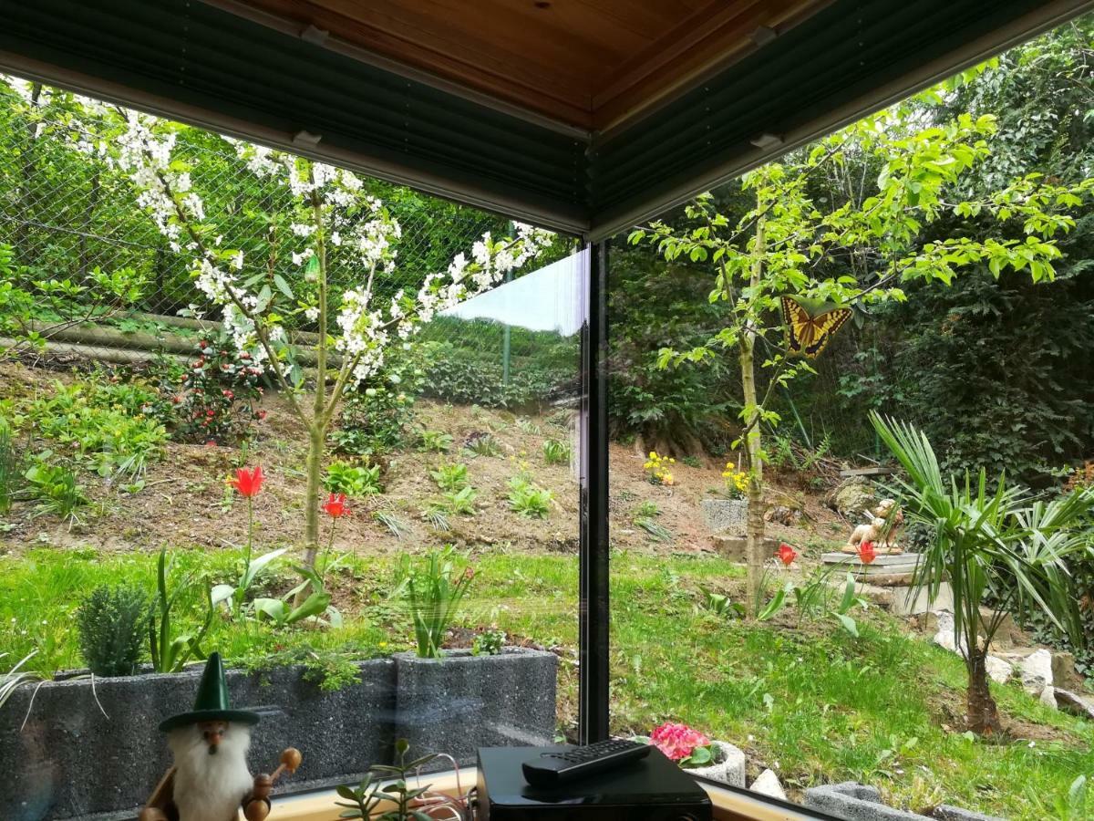 Nichtraucherferienwohnung-Neckarblick Ze-2022-74-Wz-118A Heidelberg Dış mekan fotoğraf