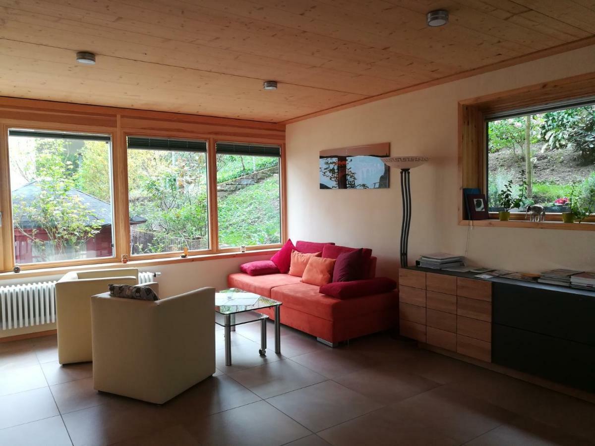 Nichtraucherferienwohnung-Neckarblick Ze-2022-74-Wz-118A Heidelberg Dış mekan fotoğraf